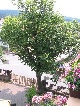 horse ranch, Hersfeld-Rotenburg, Hessen