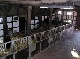 horse ranch, Lueneburg, Niedersachsen