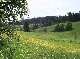 ranch, Schwarzwald-Baar-Kreis, Baden-Wuerttemberg