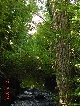 Muehle, Neckar-Odenwald-Kreis, Baden-Wuerttemberg