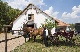 horse ranch, Ungarn, Ungarn